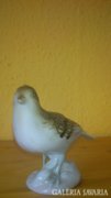 Royal dux bohemia porcelán madár (nyomott pecsét)