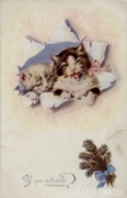 Új évi üdvözlet! cicusokkal, 1918