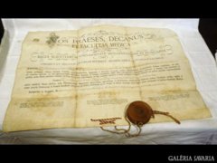 1545 I4 Antik orvosi diploma 1913-ból Ludovicus