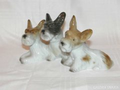 Foxi Kutyák Schau Bach Kunst Porcelán