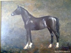 Szanthoffer Imre- fekete ló