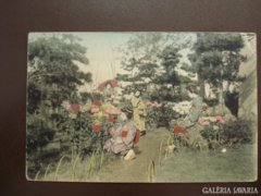 Japán kert   1926       RK
