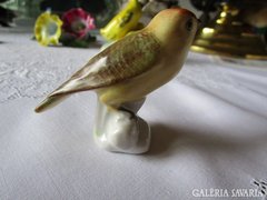  Kézzel festett pacsirta madár porcelán AQUINCUM