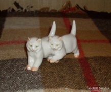 zsolnay nagyon ritka iker macskák