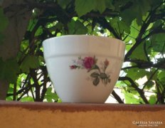 Rózsás kinai porcelán kaspó tál (1)