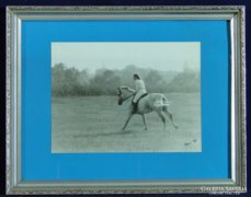 0C217 Eredeti lovas fotográfia Polner szignóval