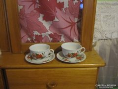 2 db Zsolnay Mikulásvirágos  teás pohár és csésze