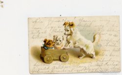 Kutya tolva: 1900.