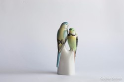 Gyönyörű Hollóházi papagáj pár