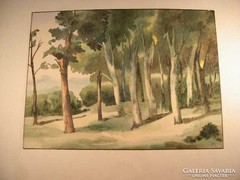 Erdőrészlet  akvarell  FL szignóval