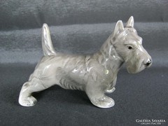 Német porcelán foxi kutya
