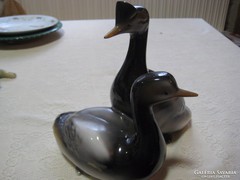 Holóháza wild ducks, marked, flawless, beautiful condition