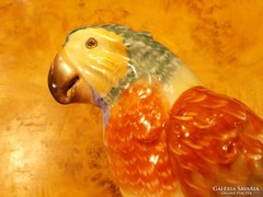 25 cm-es Herendi porcelán papagáj. Különleges darab!