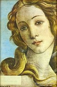 0L886 Sandro Botticelli : Vénusz nyomat