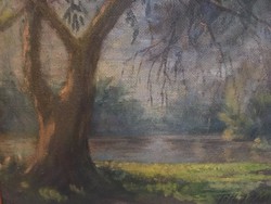 Tóth János korai őszi áradás festmény 31X38 cm