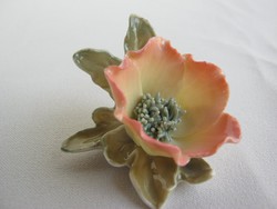 ENS porcelán rózsa vadrózsa