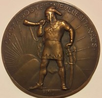 Berán Lajos 1882.VI.9-1943.I.5.Országos Testnevelési Tanács bronz érem, átmérője:60mm, vésetlen,.
