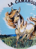 A.Pastor magyar származású Monacói szerzetes festőművész  szignójával "La Camargue" dísztál 19 cm