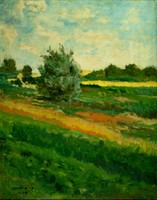 Magyar festő, XX. század : Nyár a mezőn