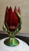 Eosin tulipán