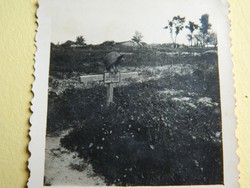 II. világháború Karl Amberg német katona sírhelye (keleti front)