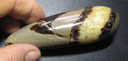 Masszázshoz szeptária "pálca" 98,74 gramm
