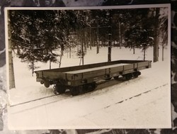 Erdei fa szállító vasút - fotó