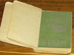 Irredenta kiadványok (1920-21-22)