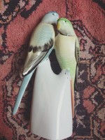 Hollóházi papagáj páros