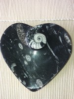 Gyönyörű Ammonitesz Gyűrűtartó 