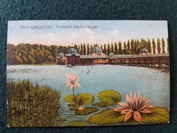 Hévízi Gyógyfürdő régi képeslap, Tórészlet lótuszvirággal