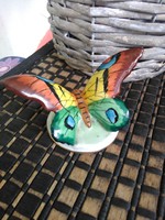 Drasche Budapest  ritka kézifestésű, szignós pillangó