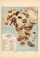 Afrika állatföldrajzi térkép 1928, magyar nyelvű, 28 x 40 cm, állat, hal, madár, emlős, gerinces