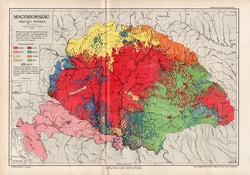 Magyarország néprajzi térkép 1902, eredeti, atlasz, Kogutowicz Manó, Cholnoky Jenő, régi