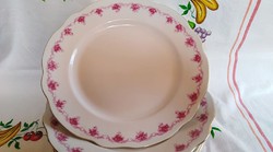 7 db Zsolnay  virágos lapos tányér