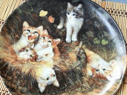 Kitten, cat wall bowl