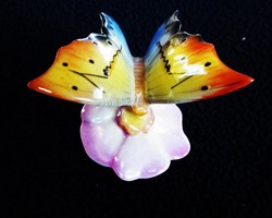 Drasche pillangó lila orchideán