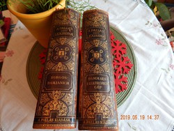 A PALLAS Nagy Lexikona - az összes ismeretek enciklopédiája tizenhat kötetben - 4. és 5. kötet