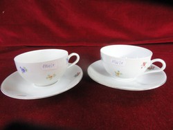 Német porcelán Bavaria F., teás csésze + alátét. Vanneki!