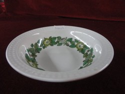 Spanyol porcelán kompótos tányér. Nyomatos szegéllyel, zöld mintával, átmérője 14,5 cm. Vanneki!