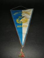 TFSE Testnevelési Főiskola 1925 sport zászló emlékzászló - EP
