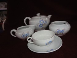 Kispest granite Hungarian porcelain 13-piece tea set. With a blue floral pattern. He has! Jokai.