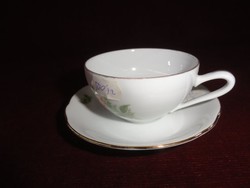 Mz Czechoslovak porcelain coffee cup + coaster. Antique, decorated with a rose motif. Vanneki!