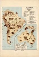 Dél - Amerika és Ausztrália állatföldrajzi térkép 1928, magyar nyelvű, 28 x 40 cm, állat, hal, madár