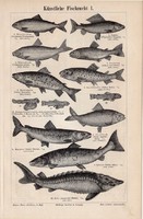 Haltenyésztés I., II., egyszín nyomat 1893, német, eredeti, hal, mesterséges, eszköz, régi