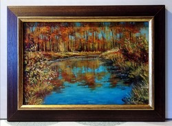 Simon Zoltán - Őszi vízpart ( 20 x 30, olaj, gyönyörű keretben )
