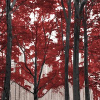 Moira Risen: A fa ékszeres doboz - Vanadinit. Kortárs, szignált fine art nyomat, vérjuhar bíbor erdő