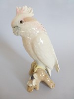 Gyönyörű Royal Dux porcelán papagáj