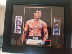 Dedikált Muhammad Ali kép