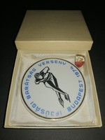 1974 Hollóházi Ifjúsági korcsolyás porcelán plakett tűzzománc gomblyuk jelvénnyel - EP